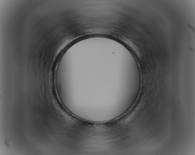 X0000094950983200711291101
