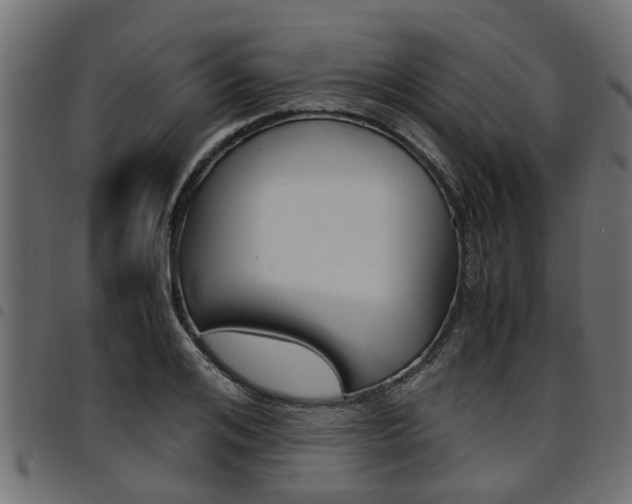 X0000094950984200711291101
