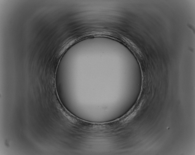 X0000094950985200711291101