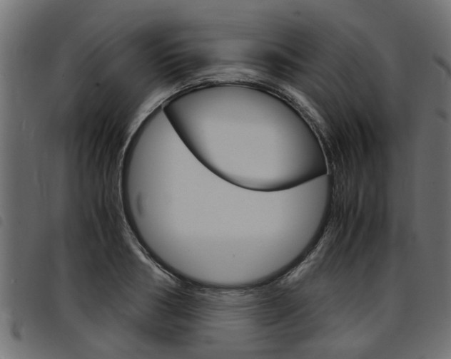 X0000094950986200711291101