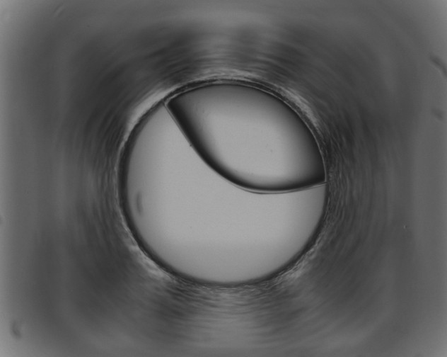 X0000094950987200711291101