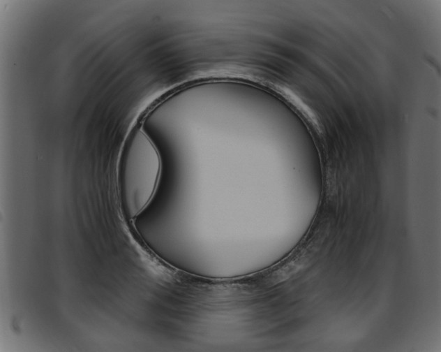 X0000094950988200711291101