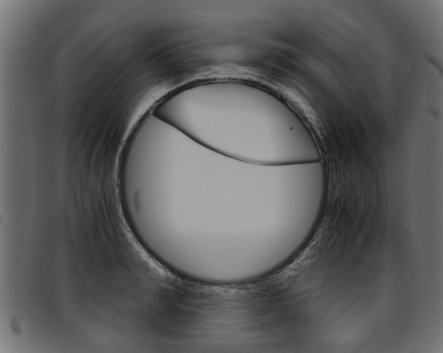 X0000094950990200711291101