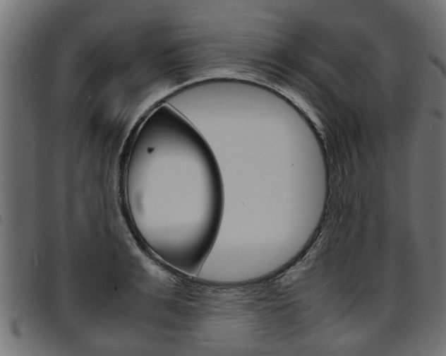 X0000094950991200711291101