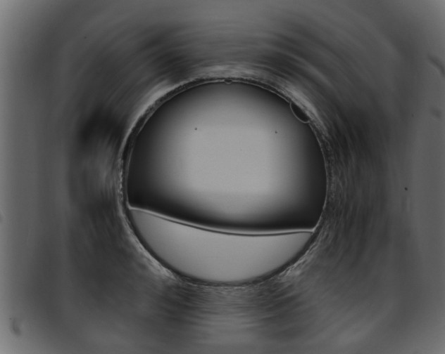 X0000094950992200711291101