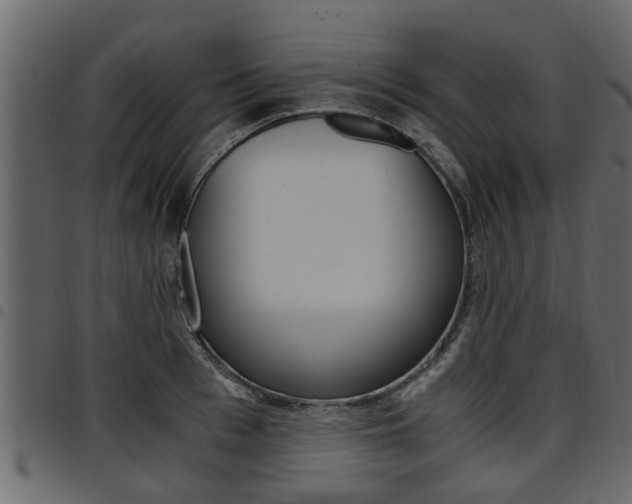 X0000094950993200711291101
