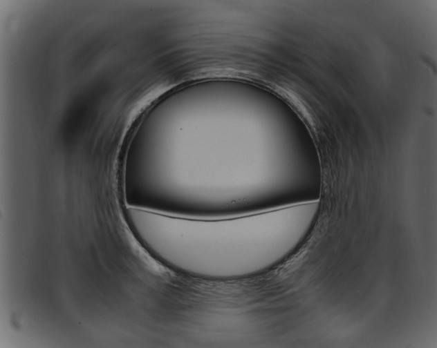 X0000094950995200711291101