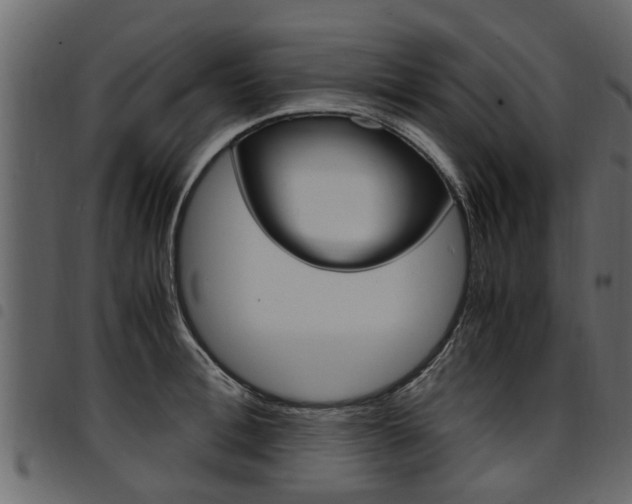 X0000094950996200711291101