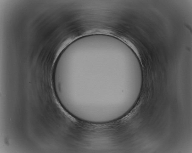 X0000094950997200711291101