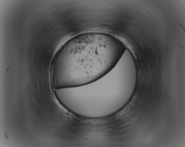 X0000094950998200711291101
