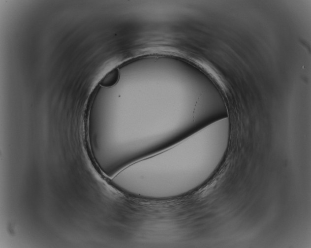 X0000094950999200711291101