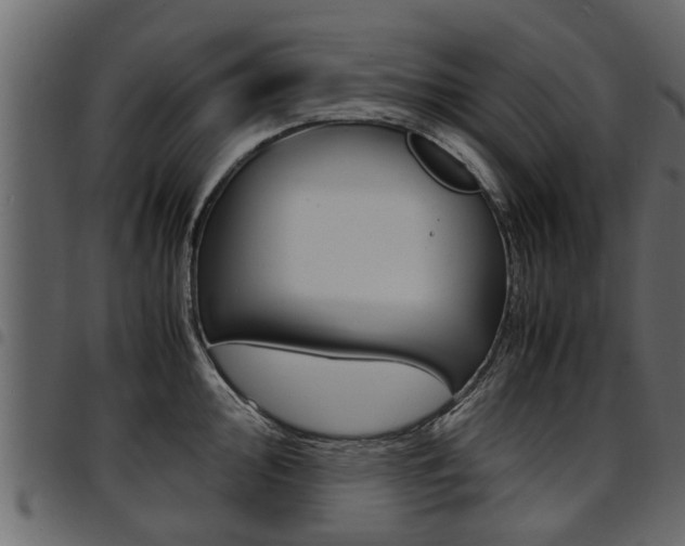 X0000094951000200711291101