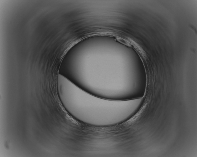 X0000094951001200711291101