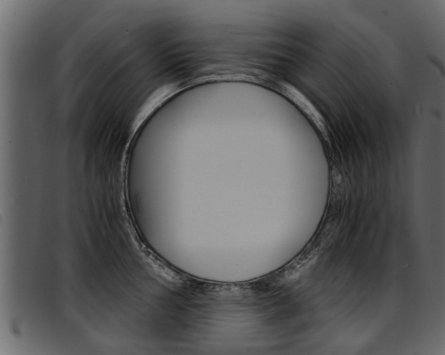X0000094951002200711291101