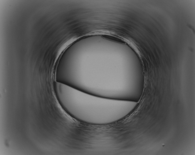 X0000094951003200711291101