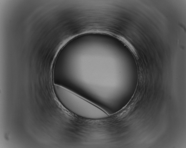 X0000094951004200711291101