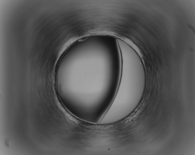 X0000094951005200711291101