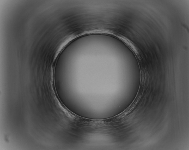 X0000094951006200711291101