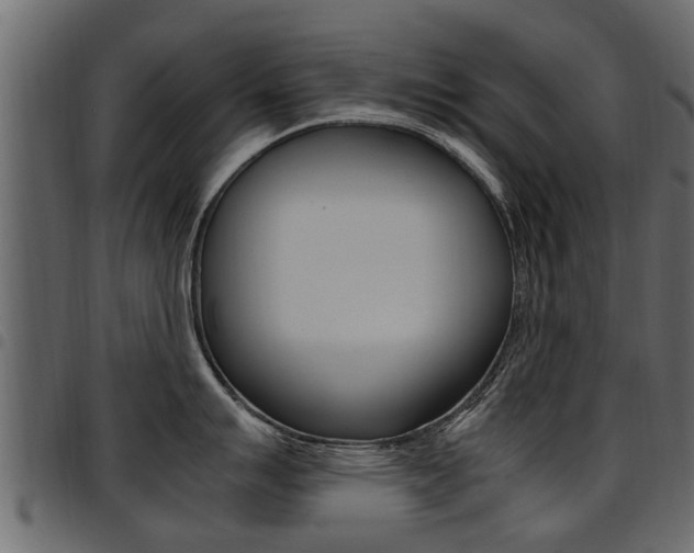X0000094951007200711291101