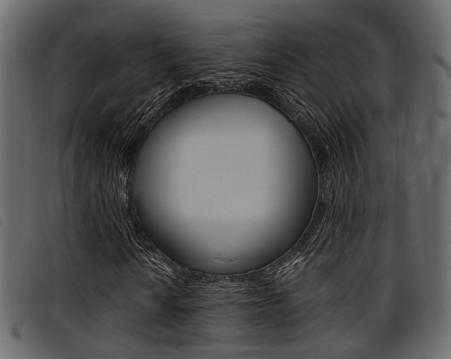 X0000094951010200711291100