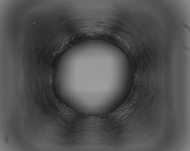 X0000094951012200711291100