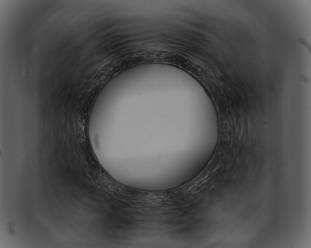 X0000094951013200711291100