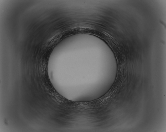 X0000094951014200711291100