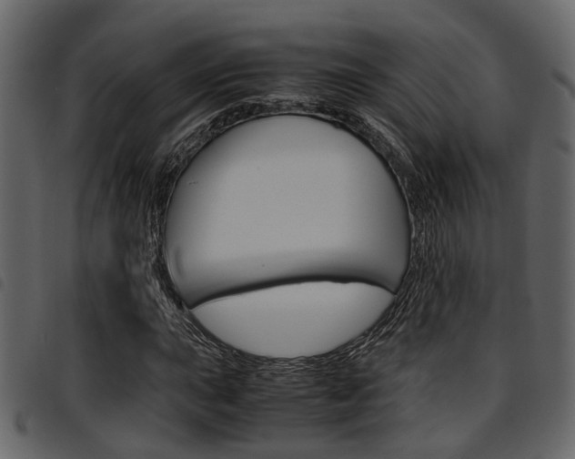 X0000094951015200711291100