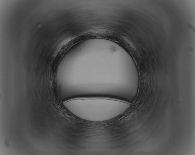 X0000094951016200711291100