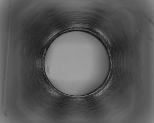 X0000094951017200711291100