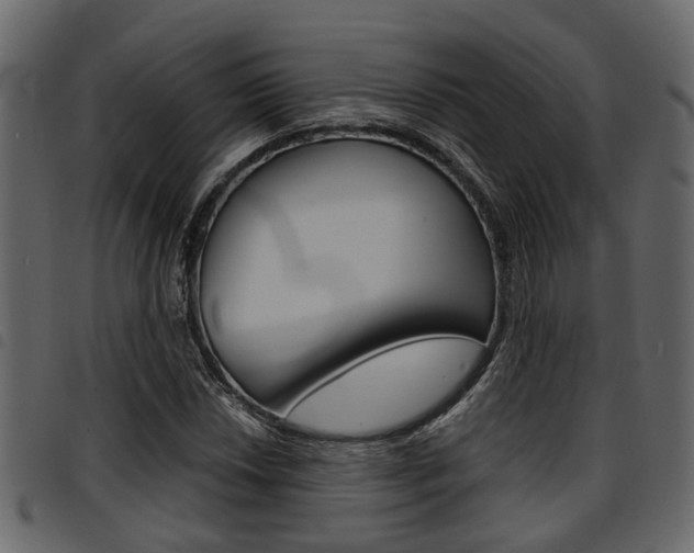 X0000094951018200711291100