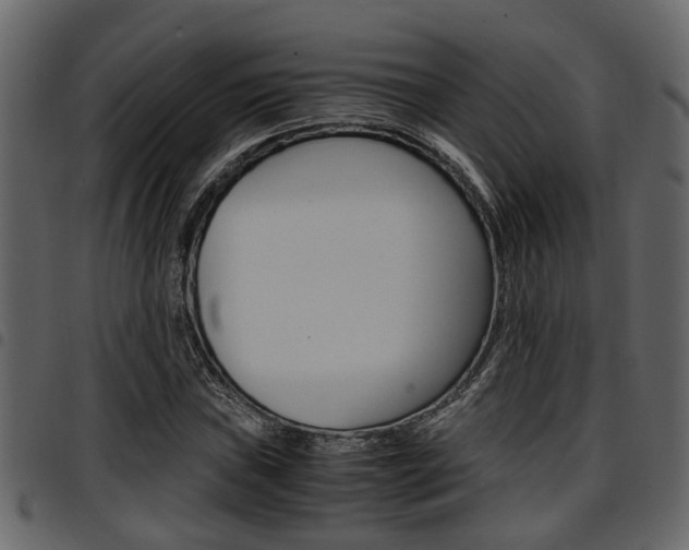 X0000094951019200711291100