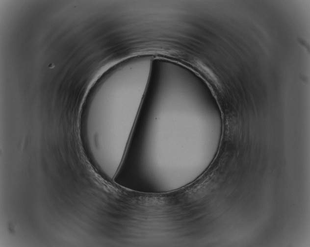 X0000094951020200711291100