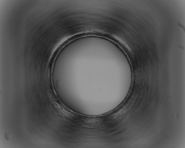 X0000094951021200711291100