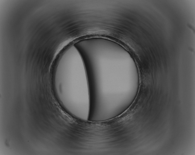 X0000094951022200711291100