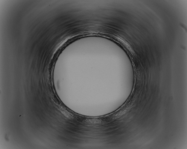 X0000094951023200711291100