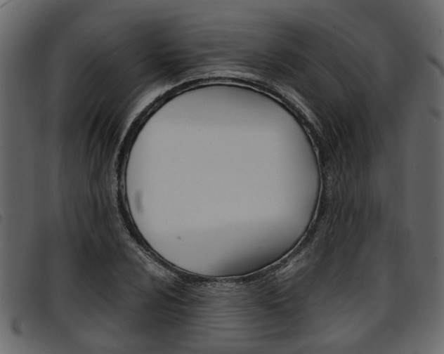 X0000094951024200711291100