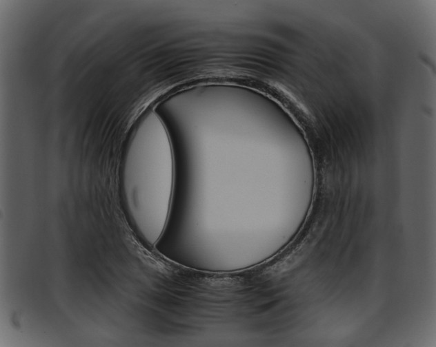 X0000094951025200711291100