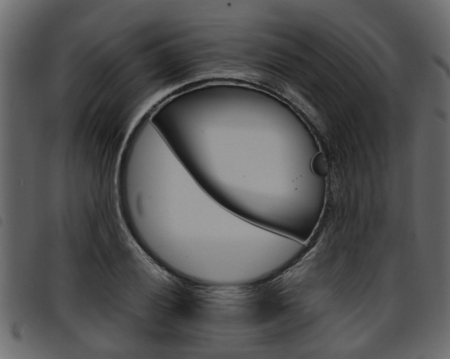 X0000094951028200711291100