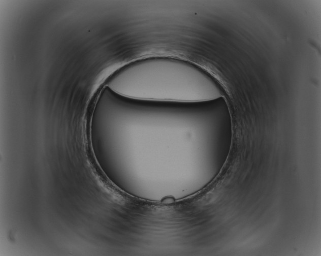 X0000094951030200711291100