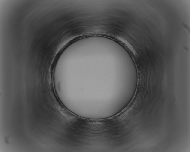 X0000094951031200711291100