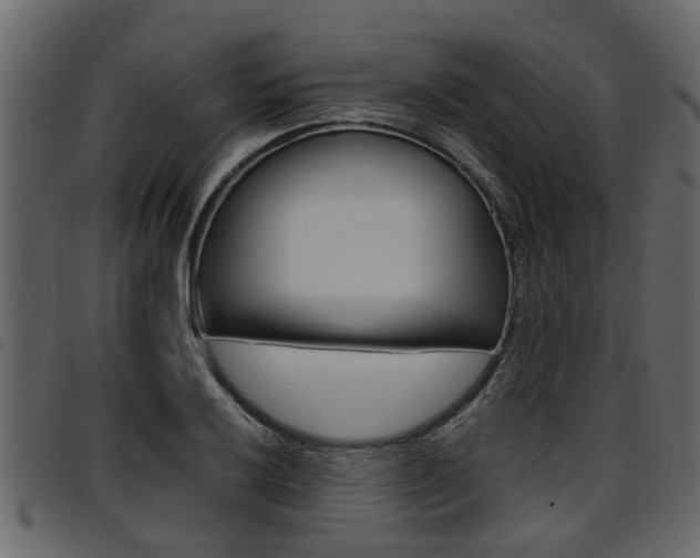 X0000094951032200711291100