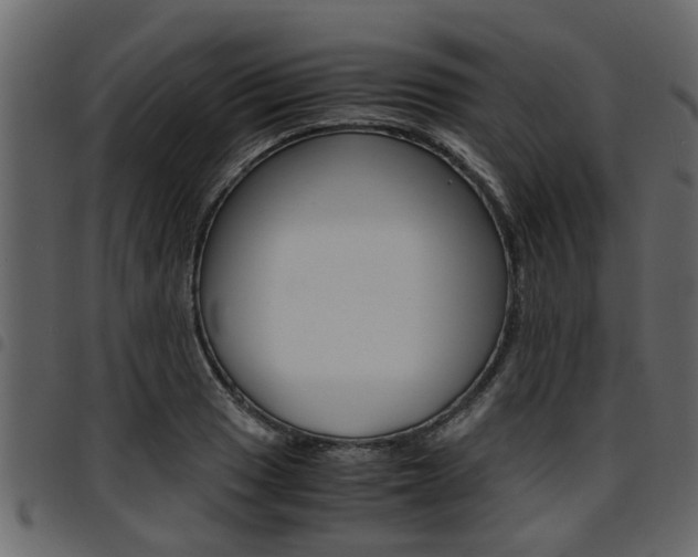 X0000094951033200711291100