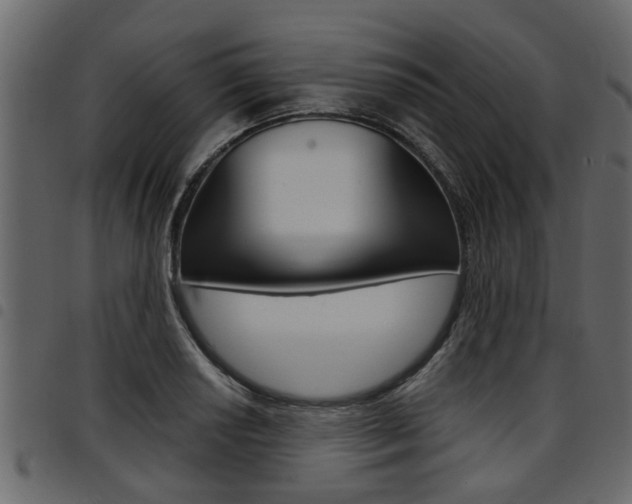 X0000094951034200711291100