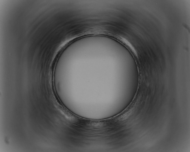X0000094951035200711291100