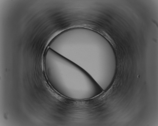 X0000094951036200711291100