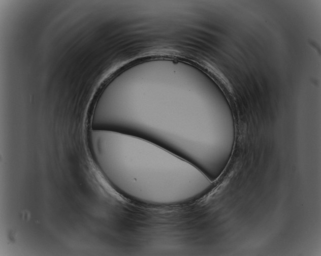 X0000094951037200711291100