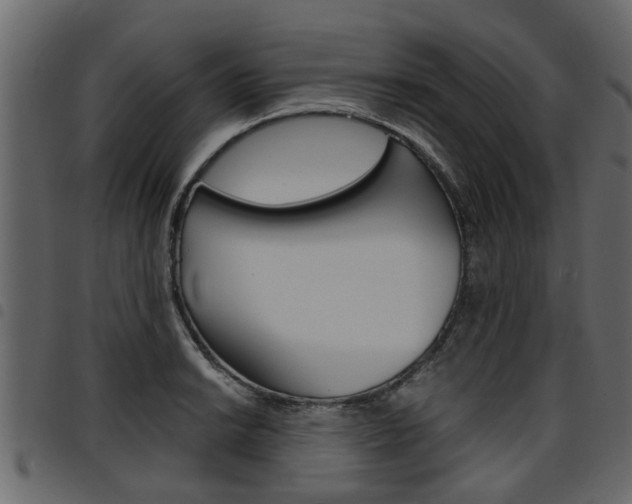 X0000094951038200711291100