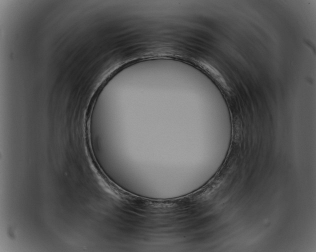 X0000094951039200711291100
