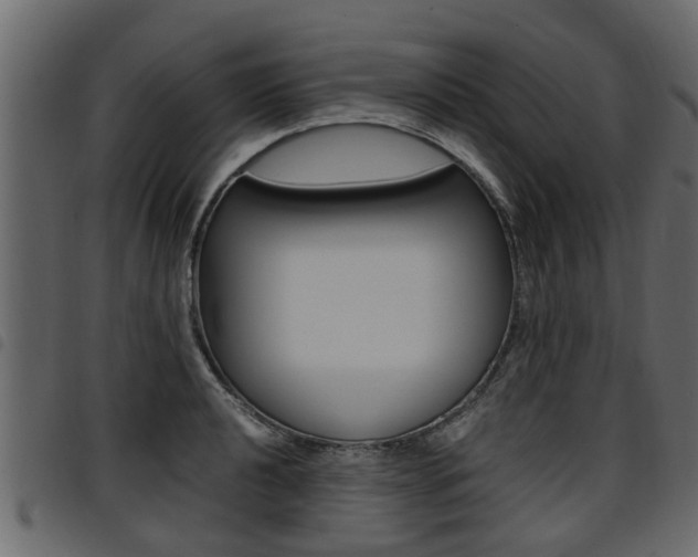 X0000094951040200711291100